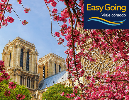 Capitales con encanto y  Crucero por el Rhin