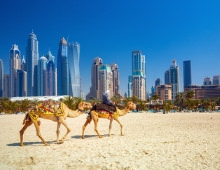 Lo mejor de Dubái y los Emiratos Arabes