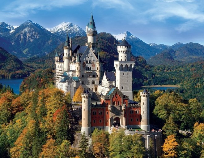 selva negra suiza