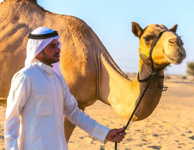 Maravillas De Jordania Con Dubai