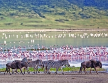 Gran Safari por Kenia y Tanzania