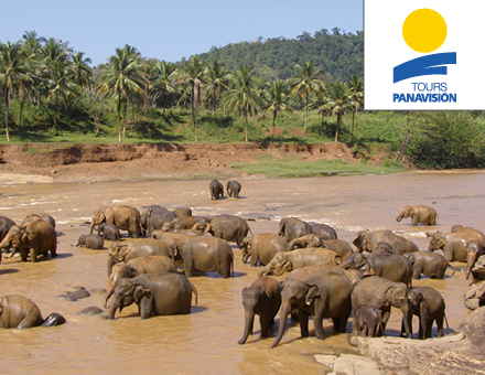 Sri Lanka: La Isla Esmeralda