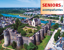 Castillos y Jardines del Loira (PAR)