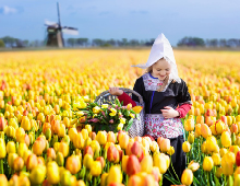 Encantos de París, Flandes y Holanda 2